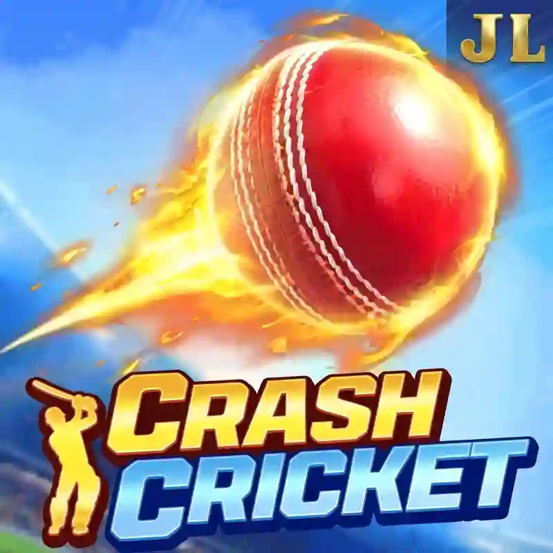 Crash Cricket game